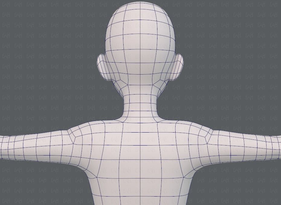 Base mesh man character V17 Low-poly 3D model_29