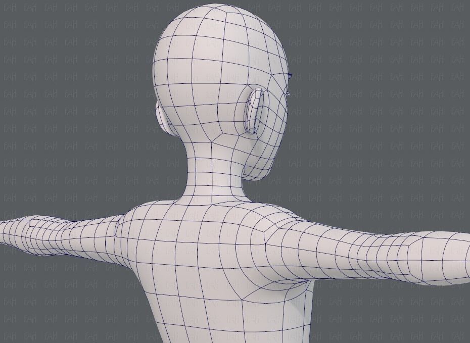 Base mesh man character V17 Low-poly 3D model_28