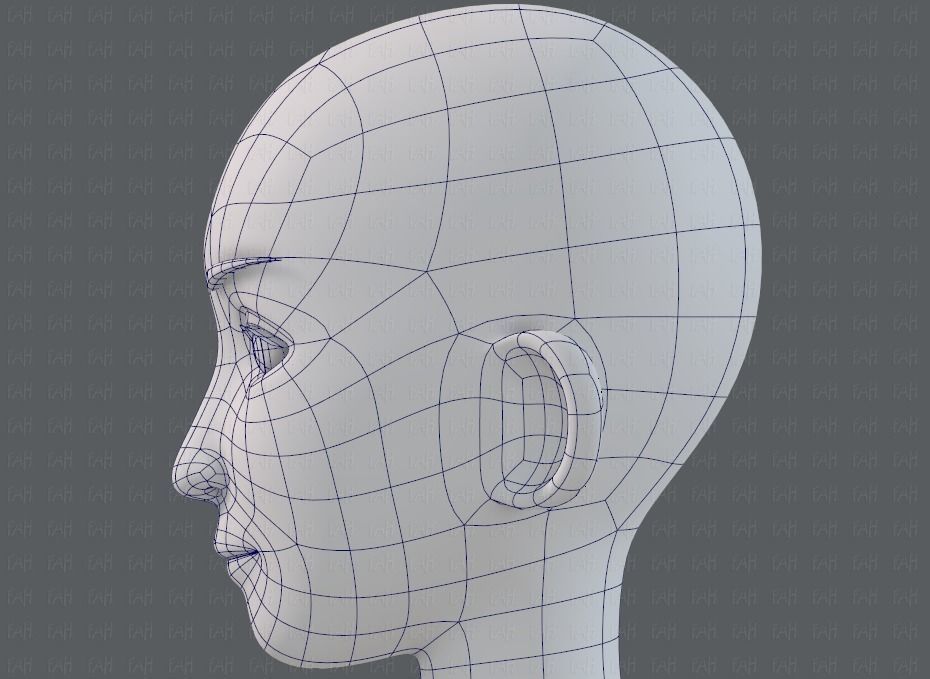 Base mesh man character V17 Low-poly 3D model_40