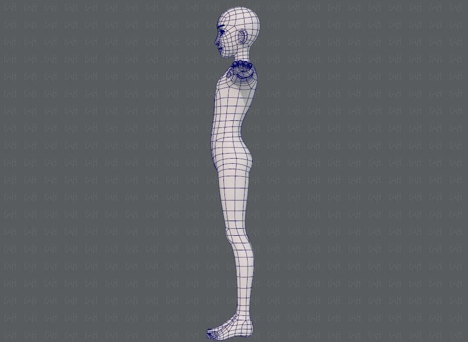 Base mesh man character V17 Low-poly 3D model_15