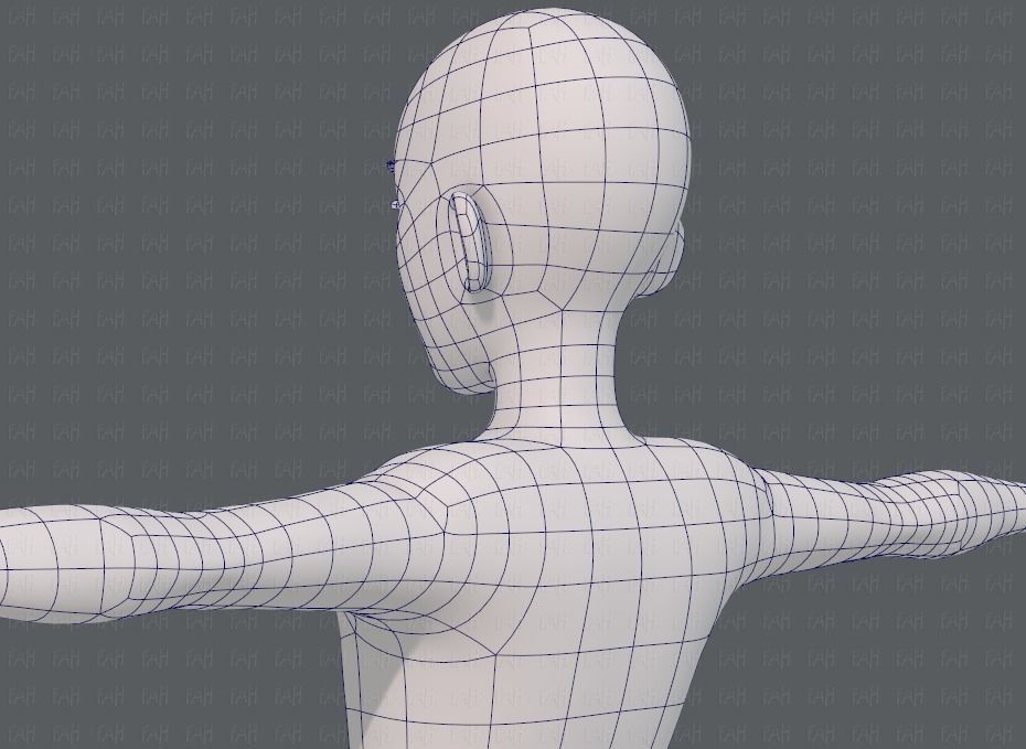 Base mesh man character V17 Low-poly 3D model_30