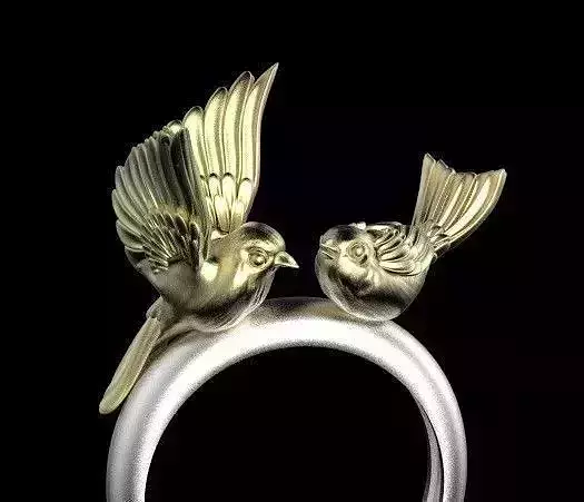 birds ring