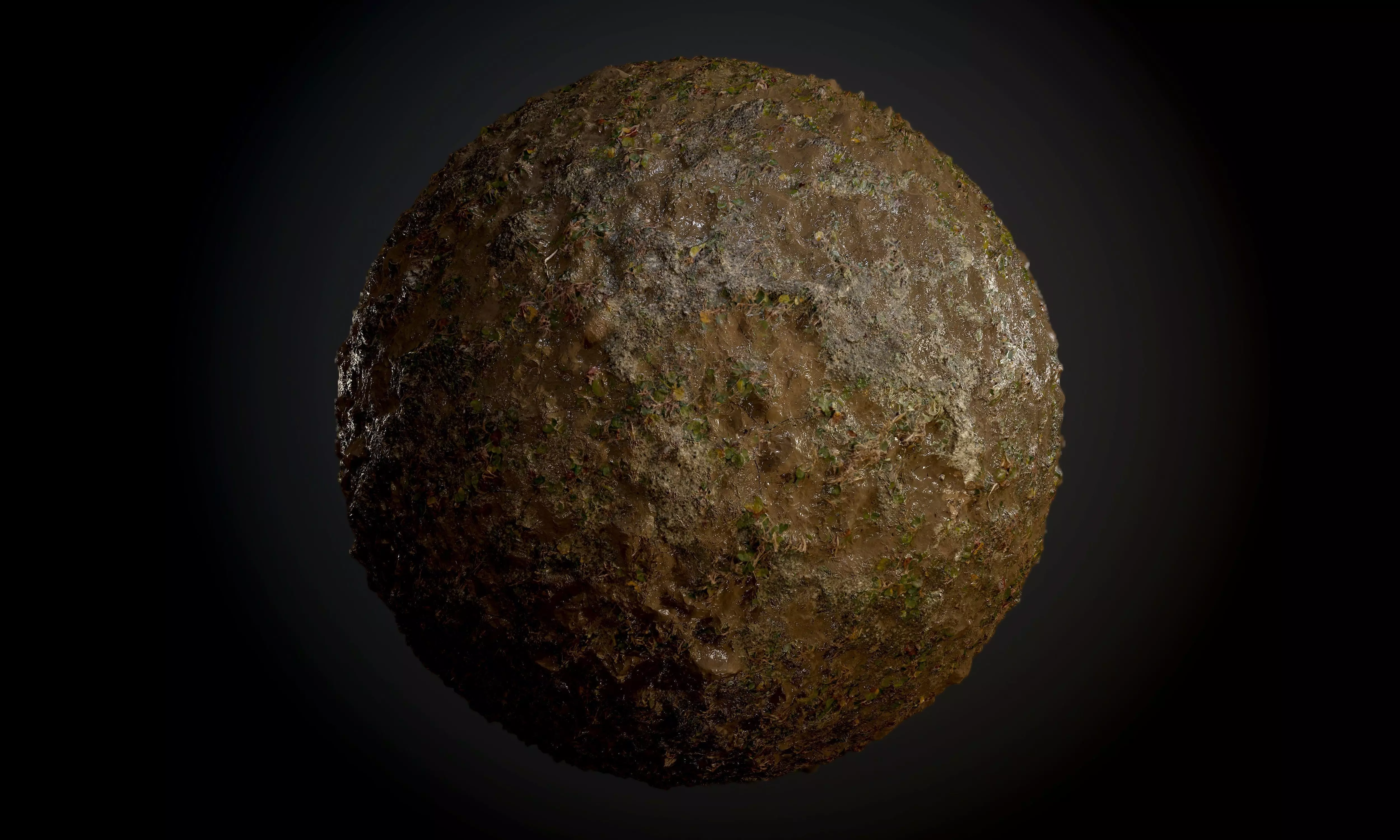 Muddy Soil Grass Ground Seamless PBR Texture Texture_0