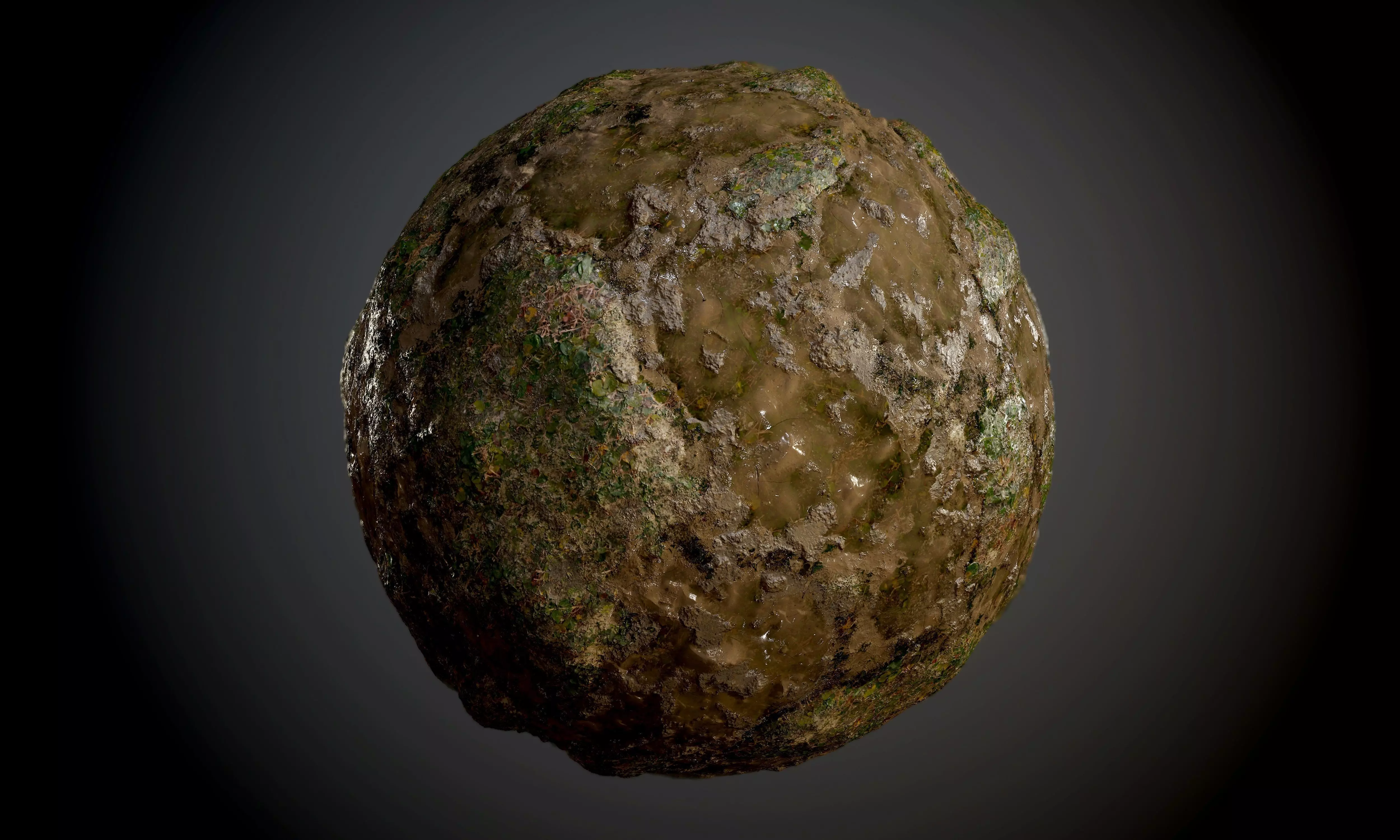 Muddy Soil Grass Rock Ground Seamless PBR Texture Texture_0