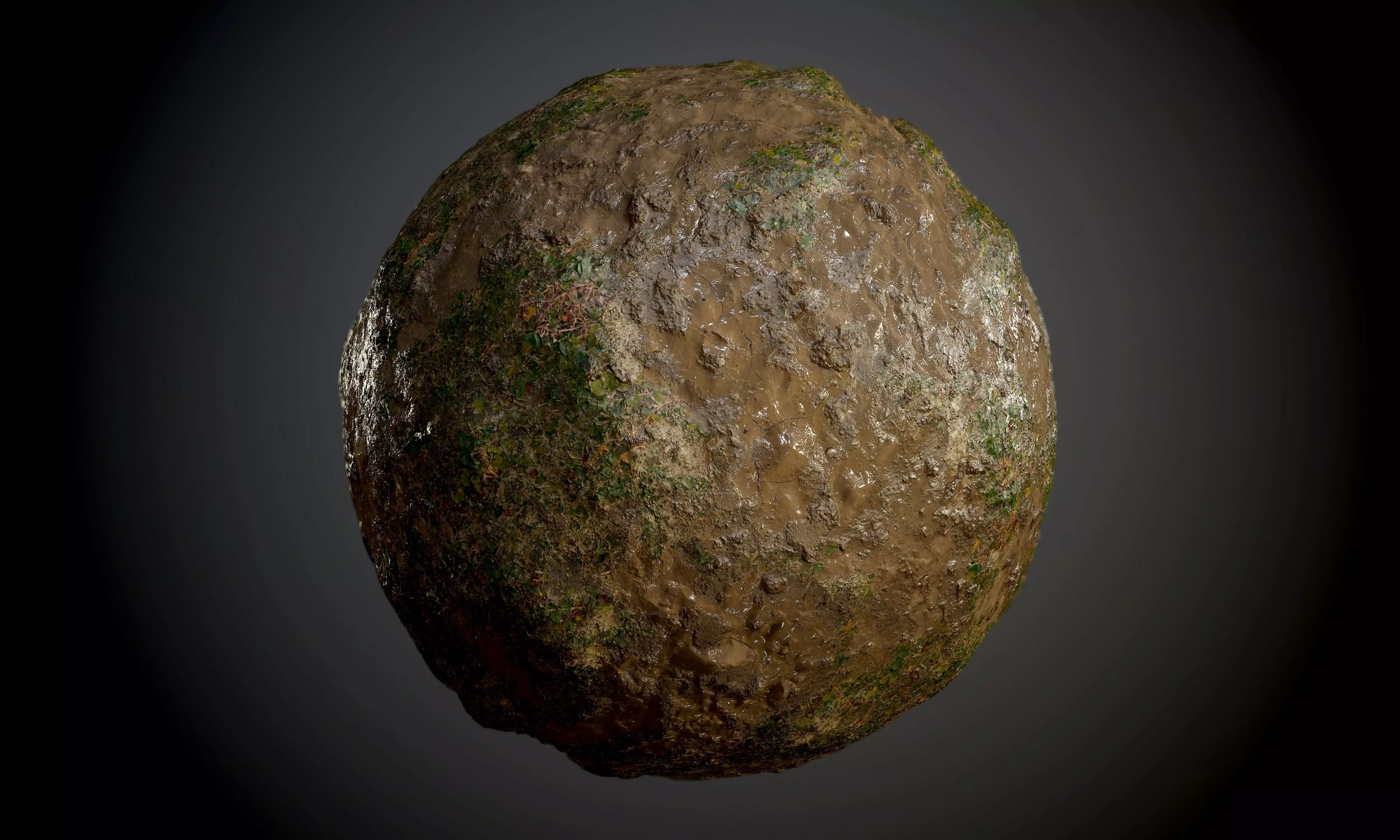 Muddy Soil Grass Dirt Ground Seamless PBR Texture Texture_0