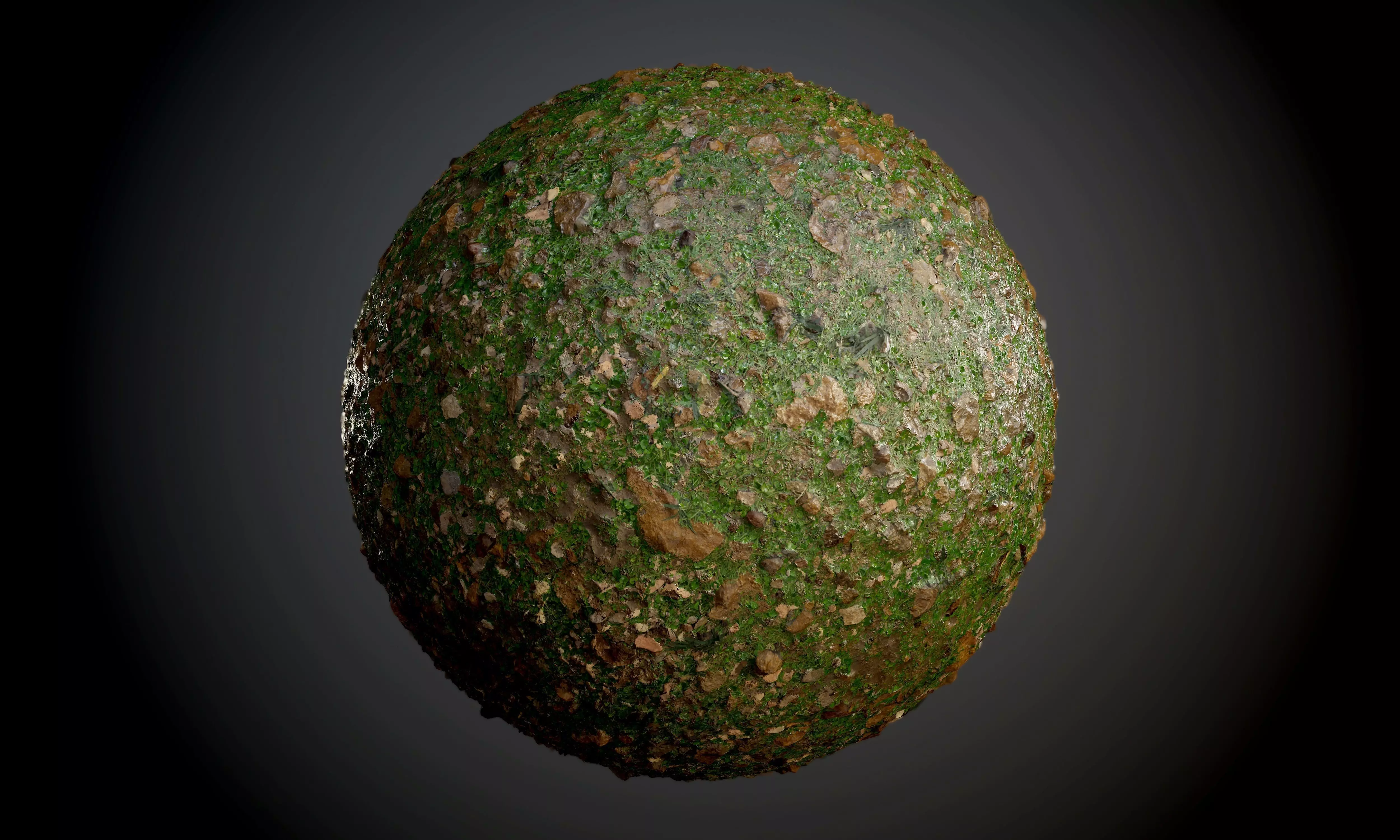 Grass Stones Soil Ground Seamless PBR Texture Texture_0