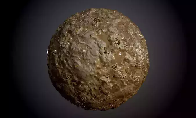 Muddy Wet Stones Footprint Ground Seamless PBR Texture