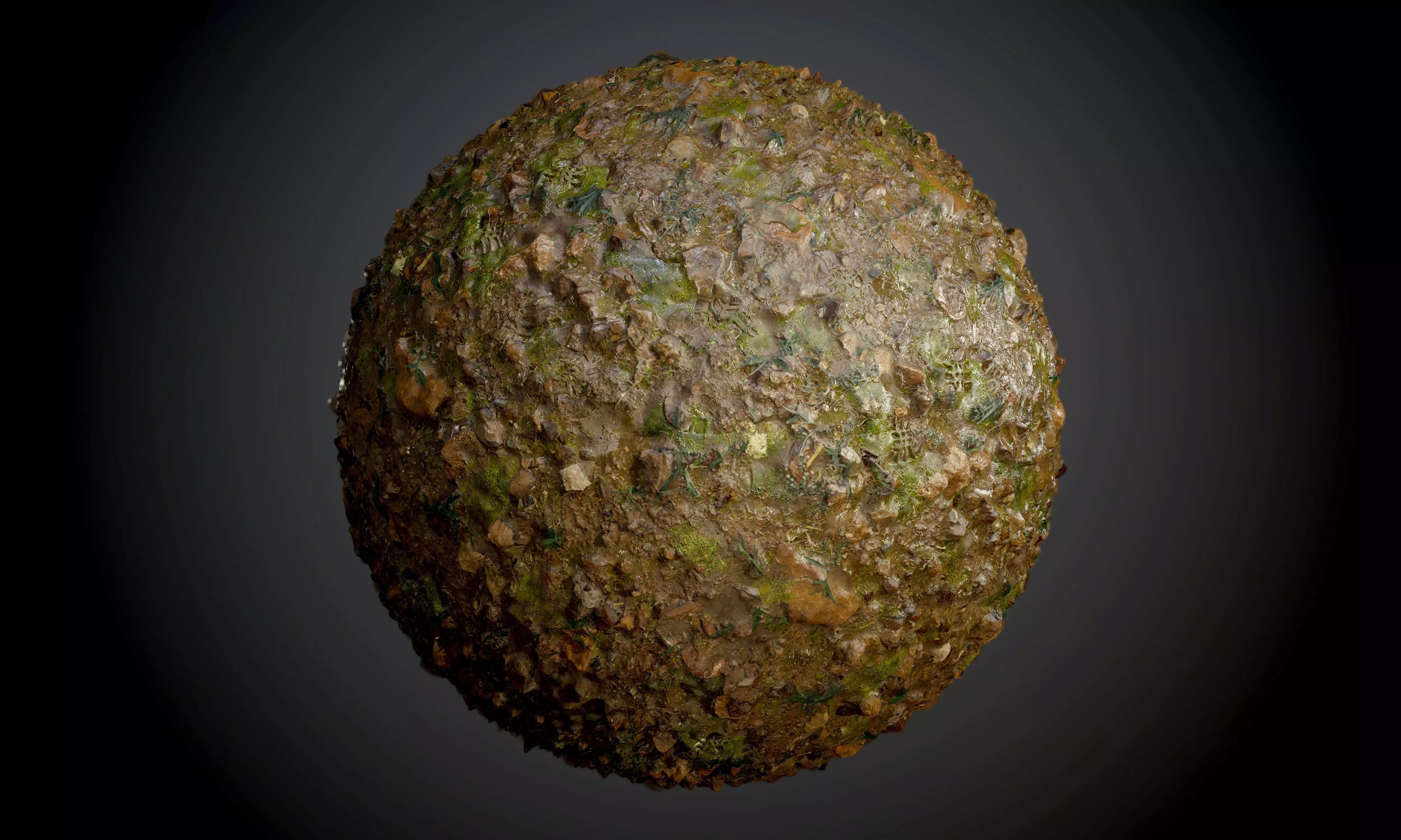 Muddy Swamp Leaves Ground Seamless PBR Texture Texture_0