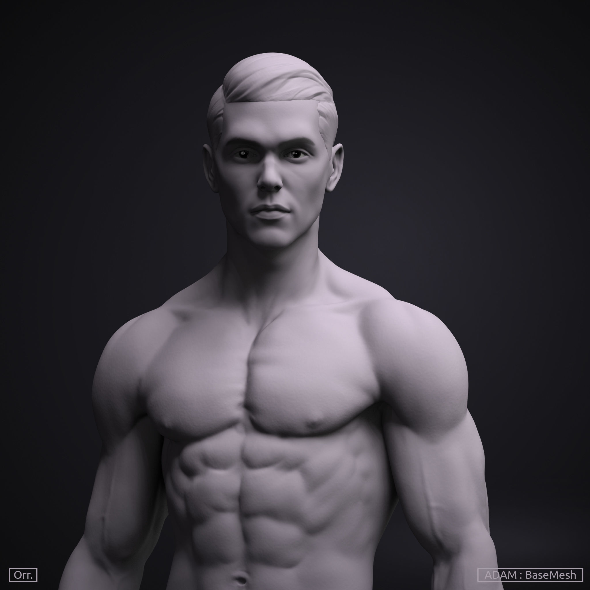 Male BaseMesh - Adam 3D model_6