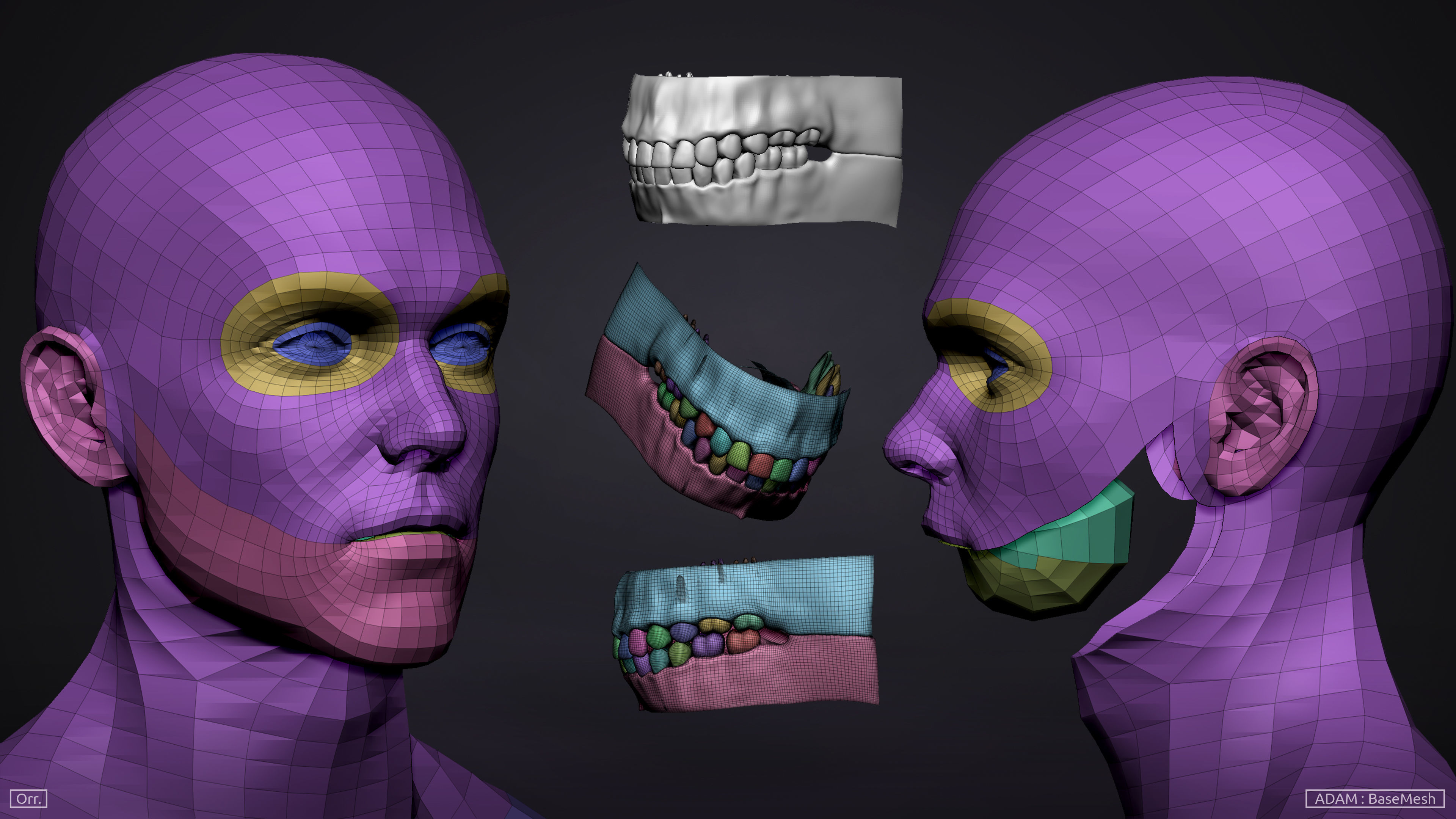 Male BaseMesh - Adam 3D model_5