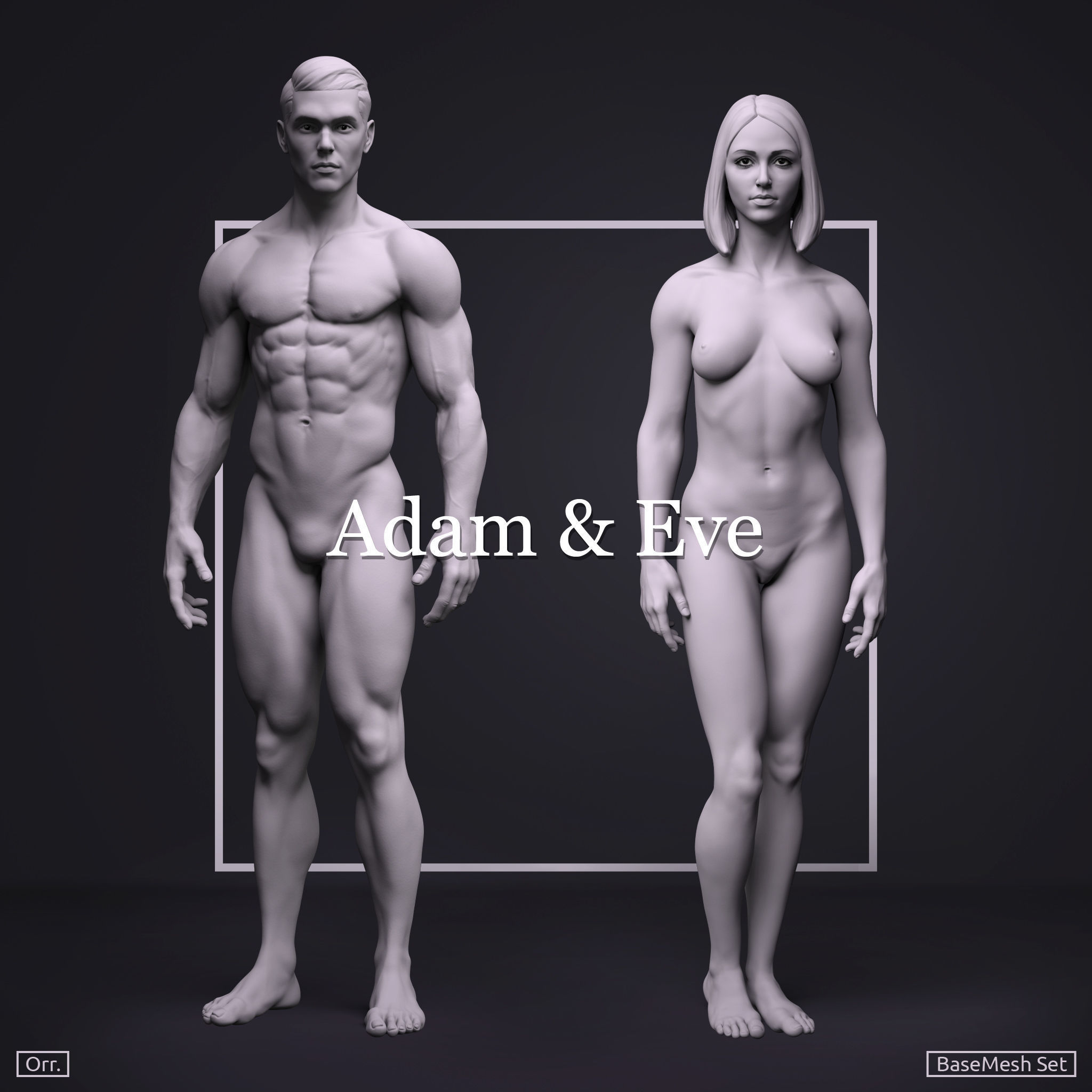 Male BaseMesh - Adam 3D model_7