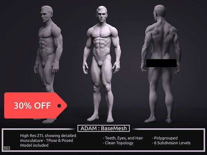 Male BaseMesh - Adam 3D model