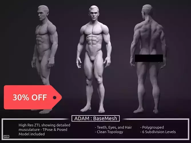 Male BaseMesh - Adam 3D model