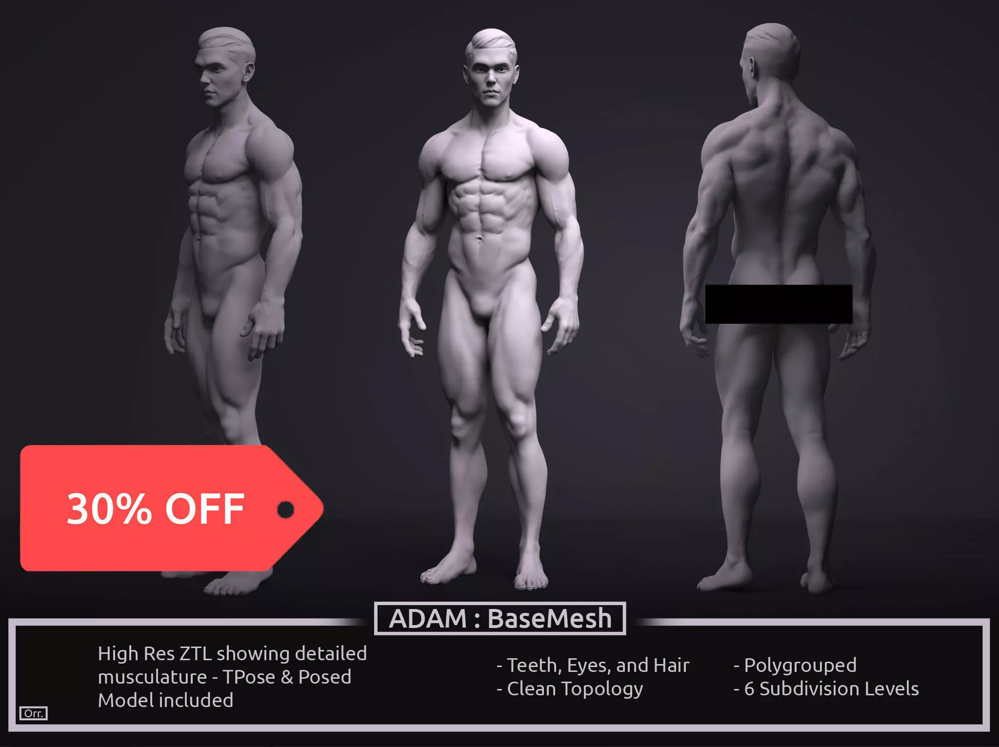Male BaseMesh - Adam 3D model_0
