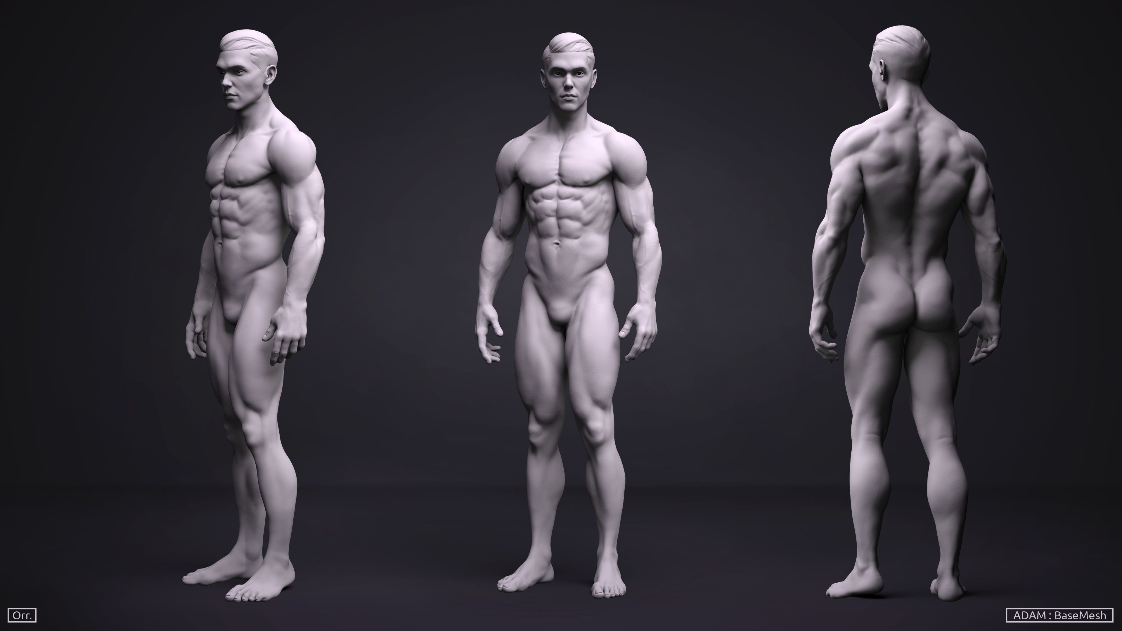 Male BaseMesh - Adam 3D model_2