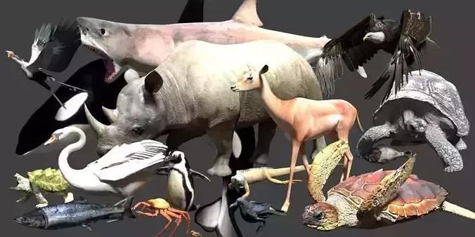 Blender living thing pack Low-poly 3D model