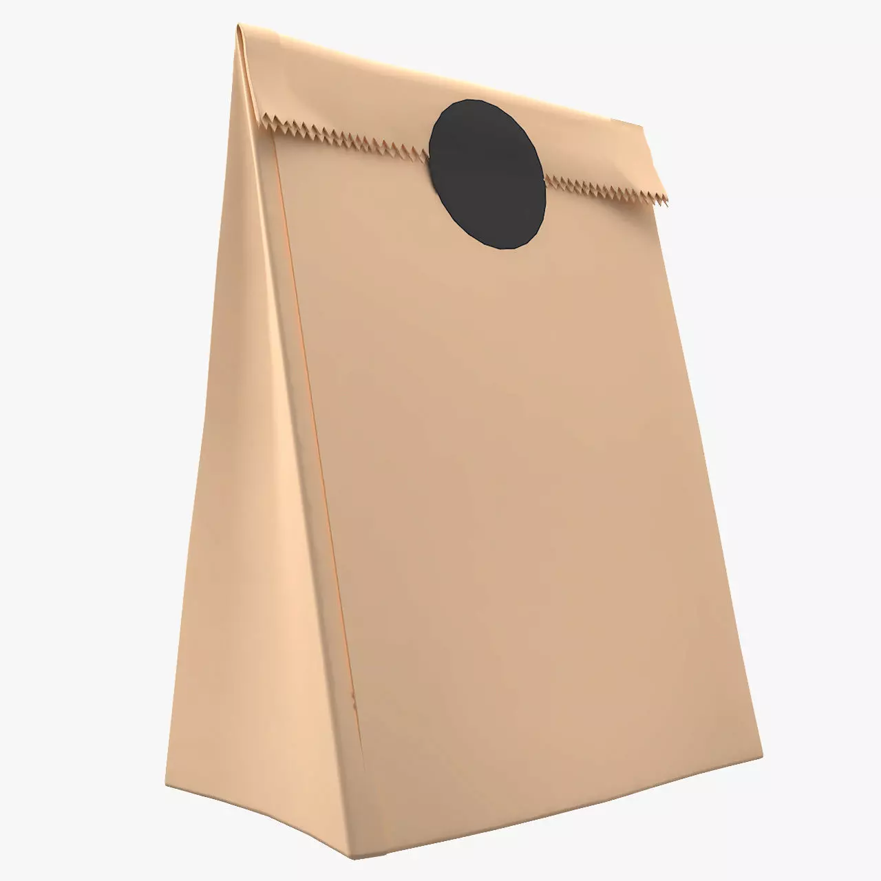 Bag Paper 5 3D model