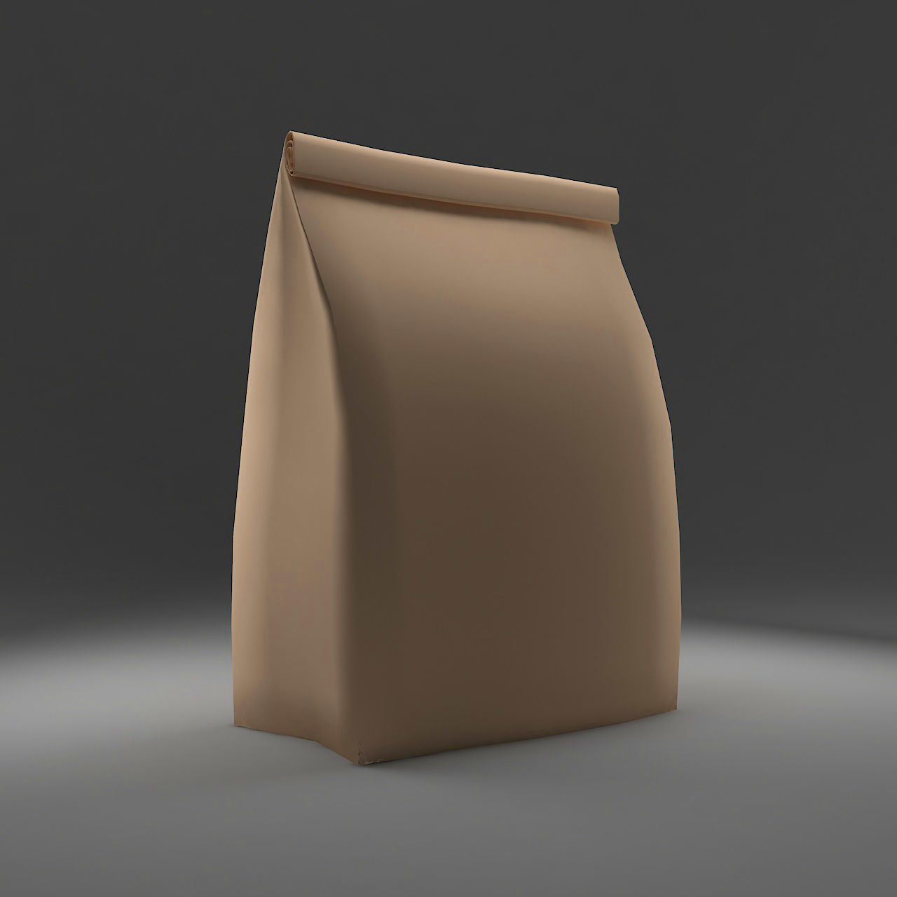 Bag Paper 3 3D model_1