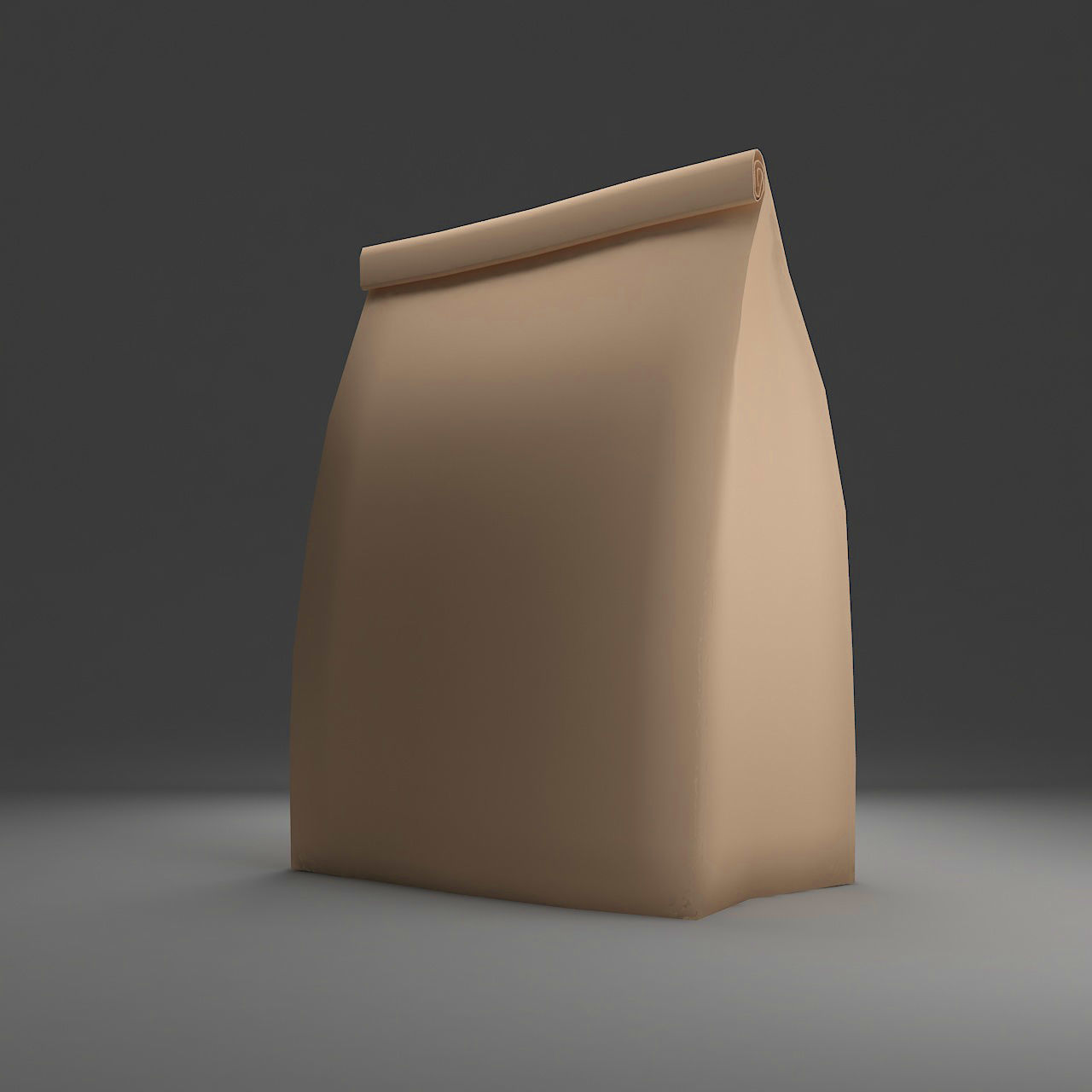 Bag Paper 3 3D model_3