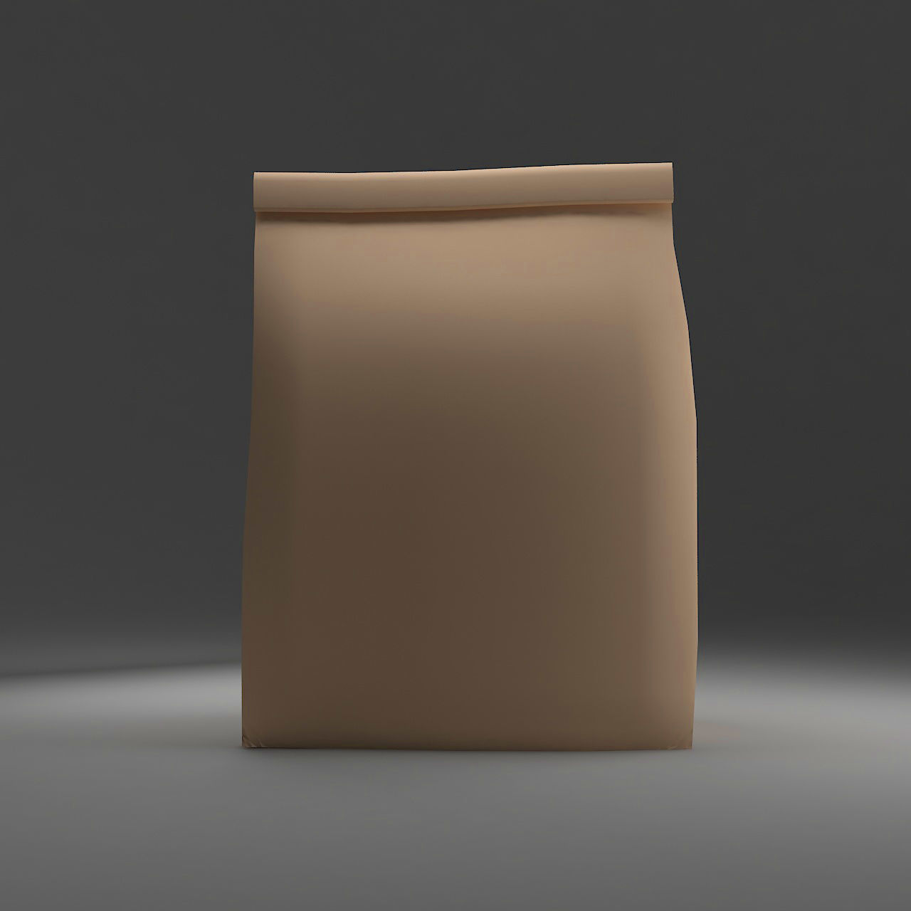 Bag Paper 3 3D model_2