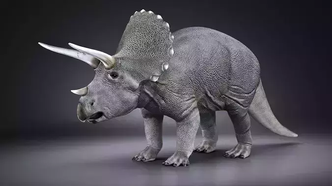 Triceratops dinosaur 3D model
