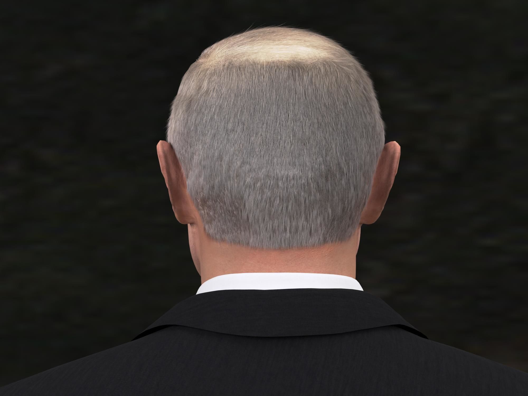 Vladimir Putin 3D model_8