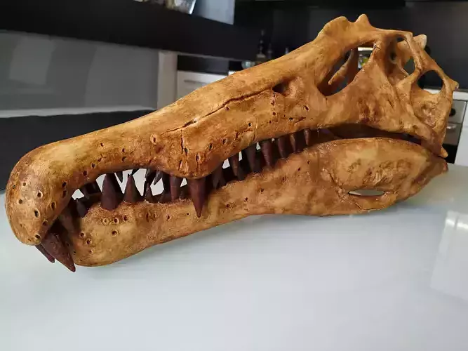 Spinosaurus Dinosaur Skull 3D print model