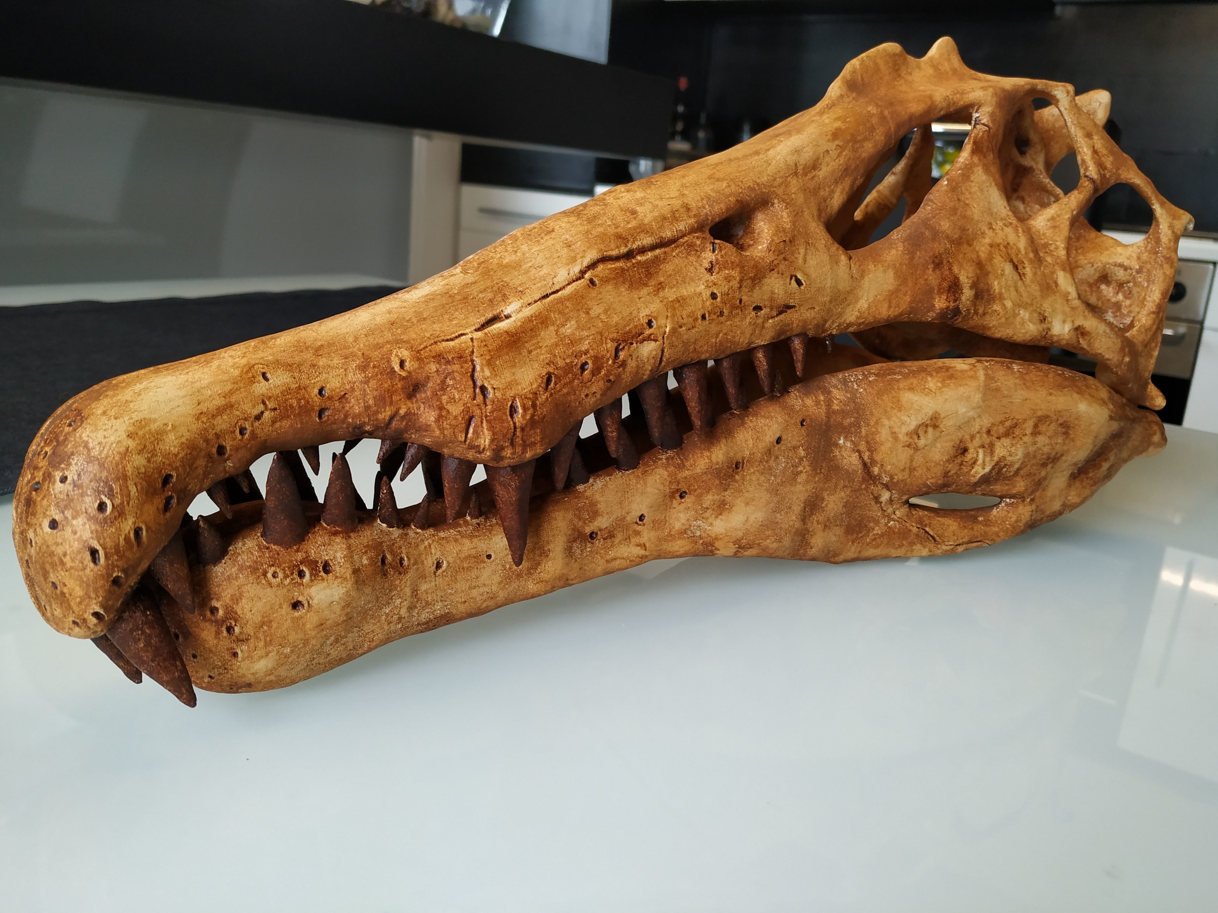 Spinosaurus Dinosaur Skull 3D Model 3D Printable CGTrader