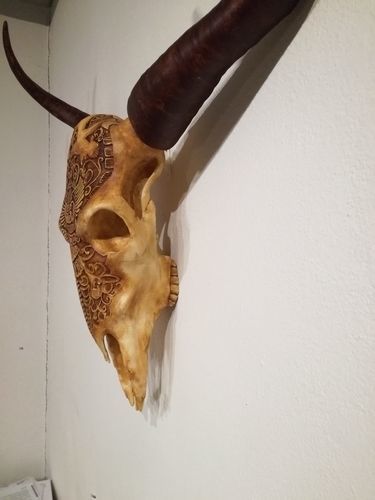 Life Size Bull Skull 3D print model_1
