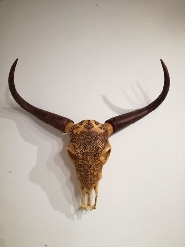Life Size Bull Skull 3D print model_2