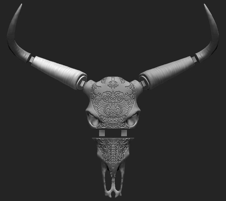 Life Size Bull Skull 3D print model_4