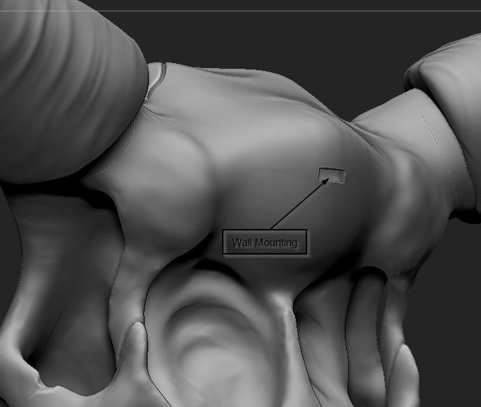 Life Size Bull Skull 3D print model_5