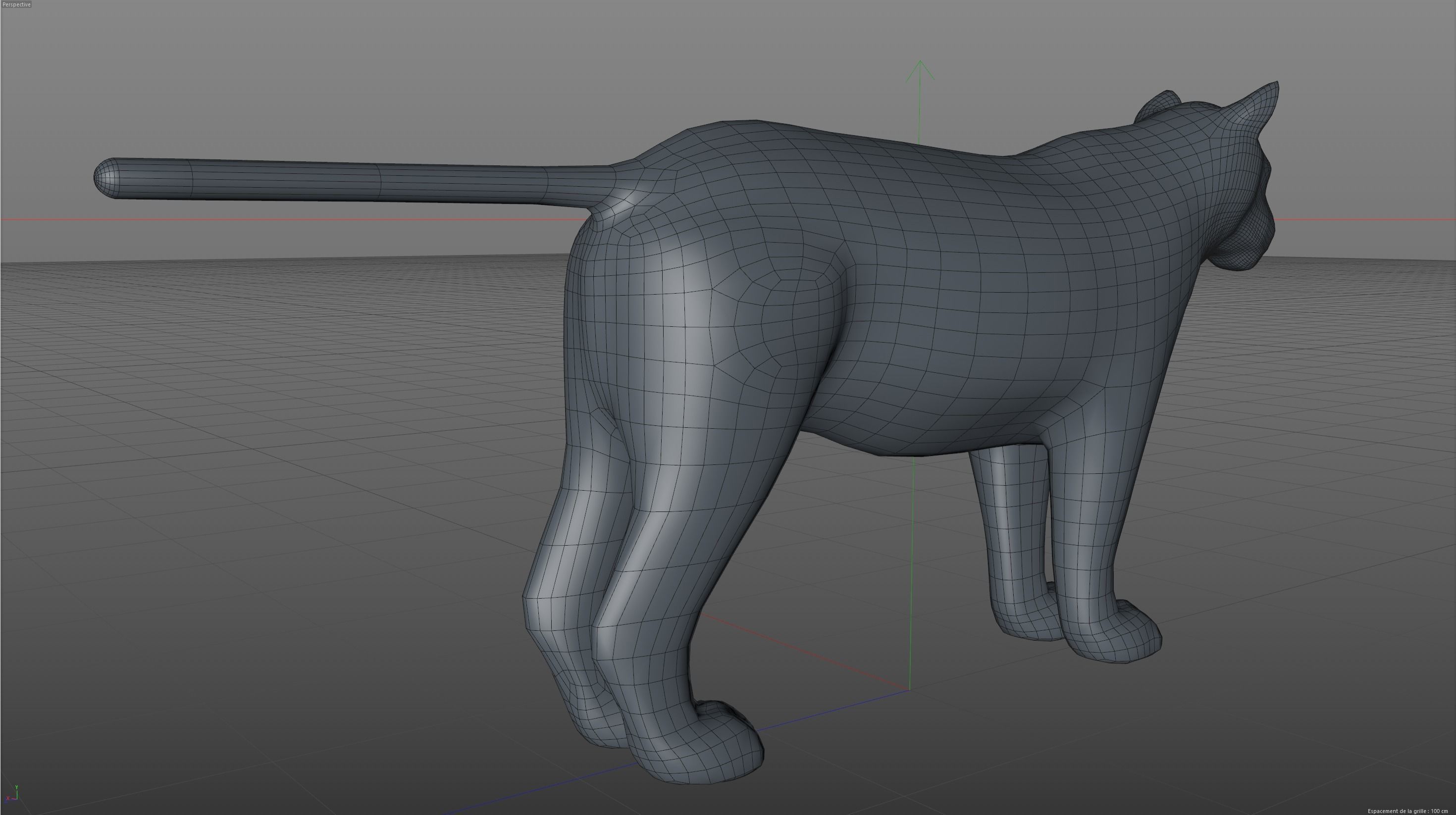 Tiger lion Grey model High Detailed 3D model Free low-poly 3D model_8