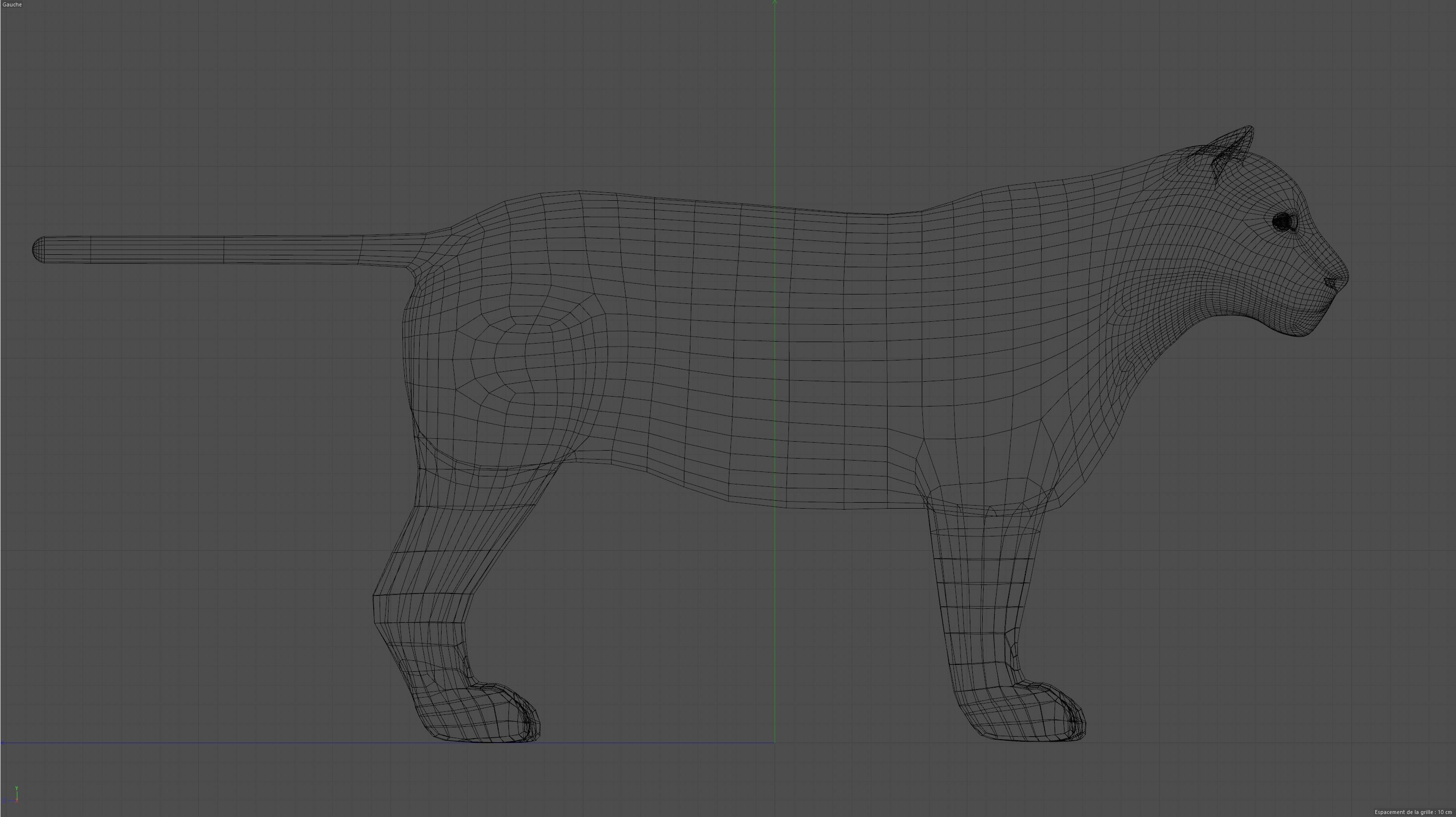 Tiger lion Grey model High Detailed 3D model Free low-poly 3D model_6