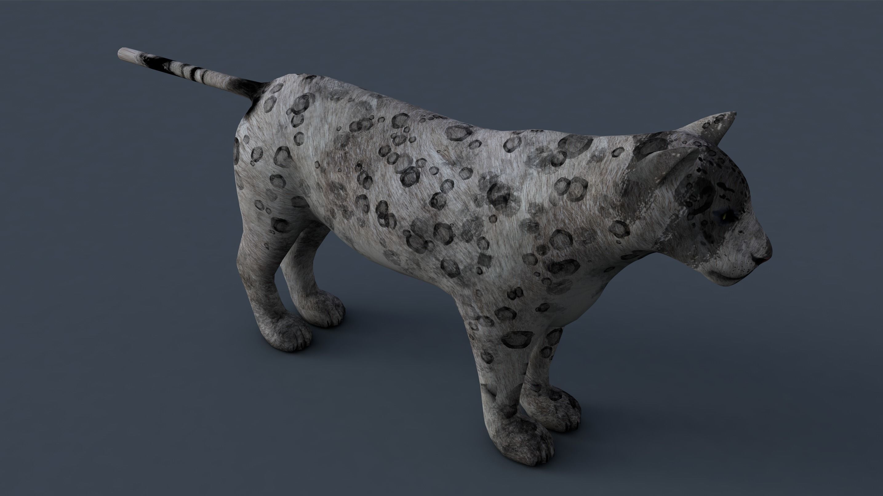 Tiger lion Grey model High Detailed 3D model Free low-poly 3D model_4
