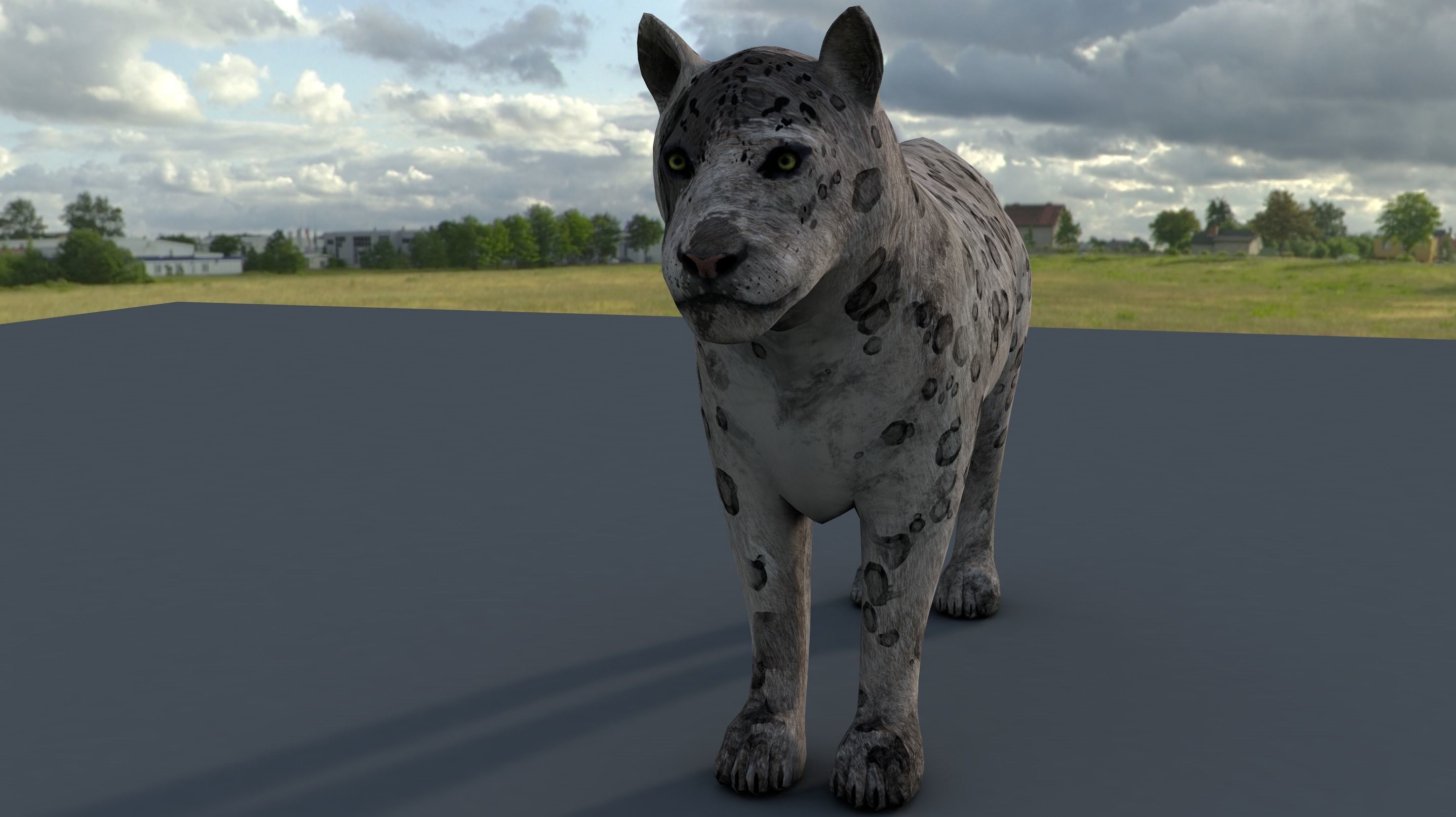 Tiger lion Grey model High Detailed 3D model Free low-poly 3D model_2
