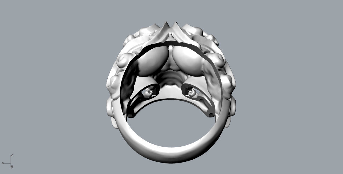 rings skull - 01 3D print model_6