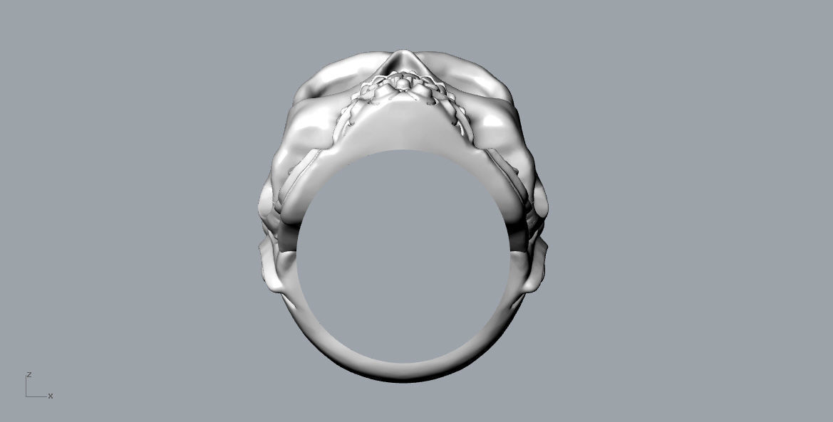 rings skull - 01 3D print model_9