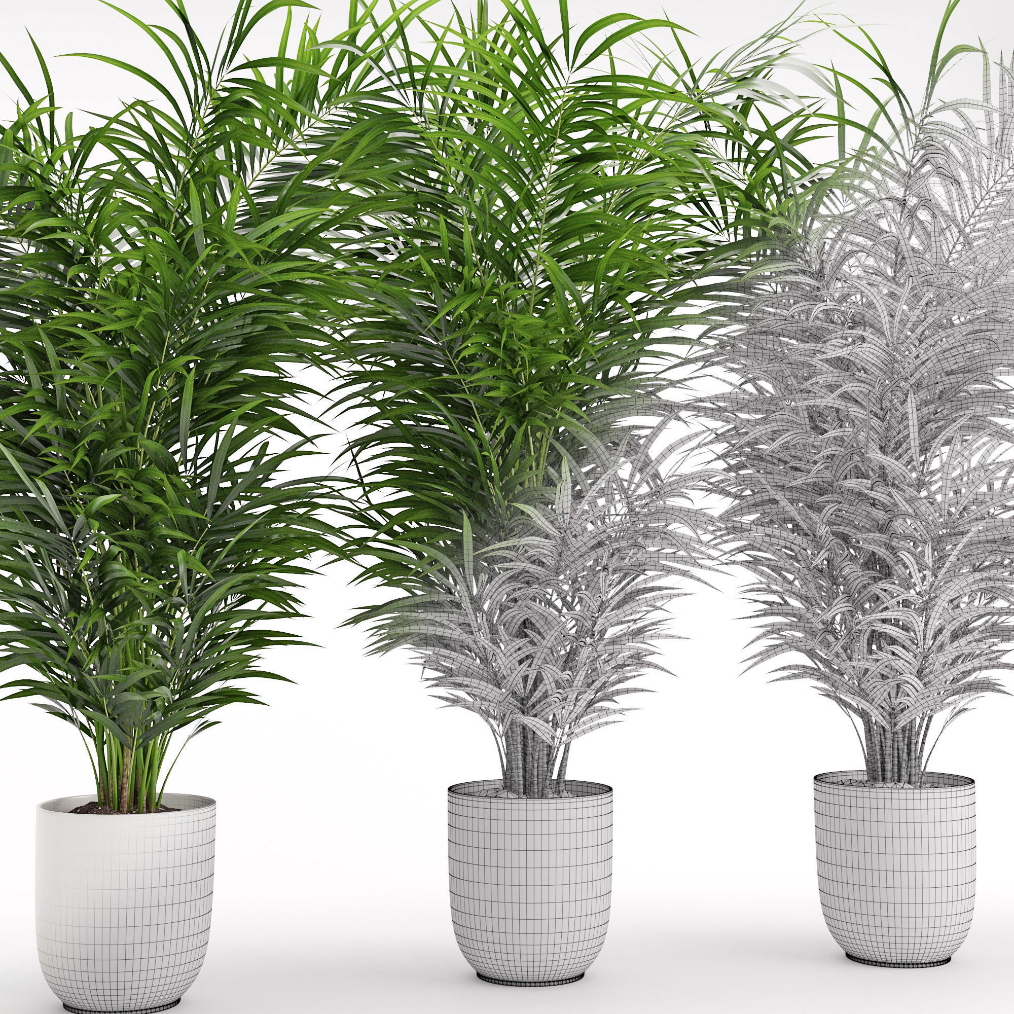 Houseplant 32  wall Collisions 3D model_7