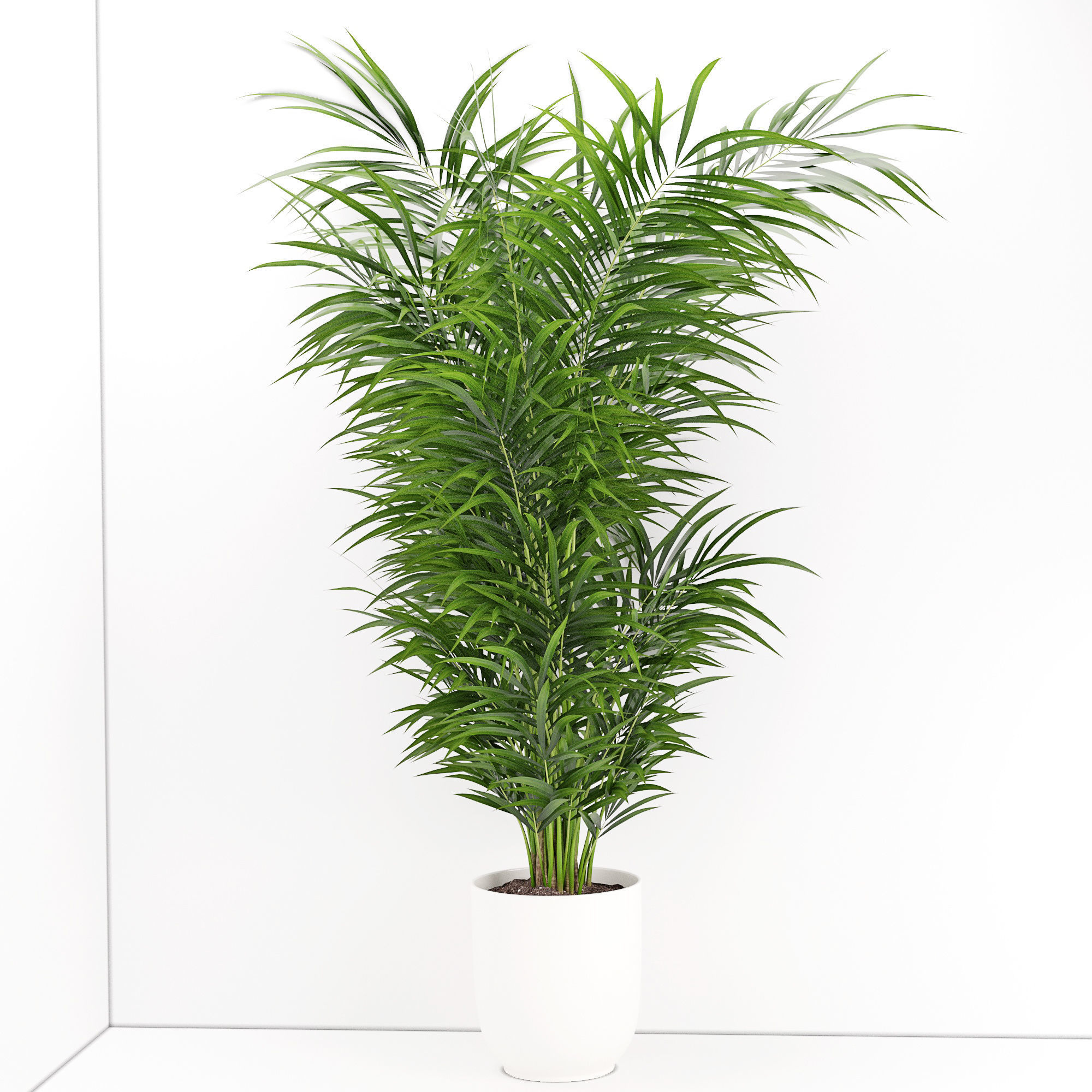 Houseplant 32  wall Collisions 3D model_5