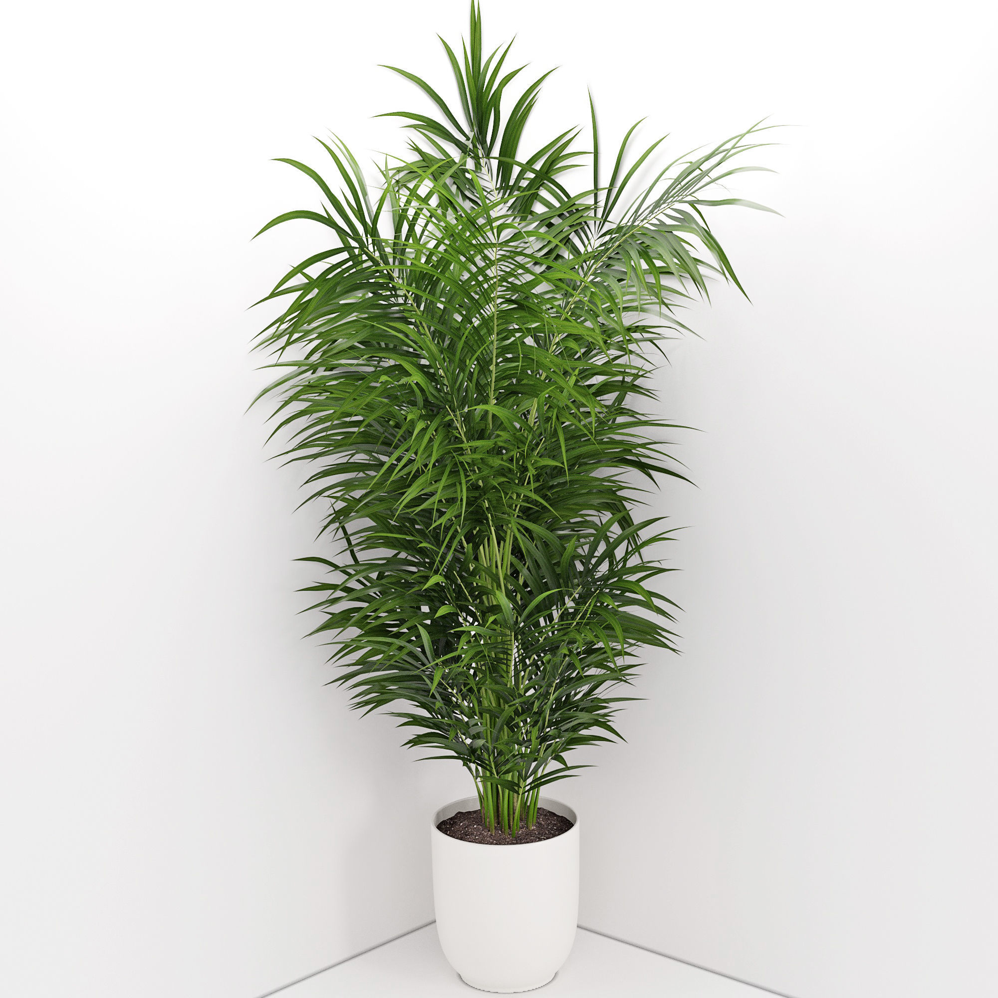 Houseplant 32  wall Collisions 3D model_4