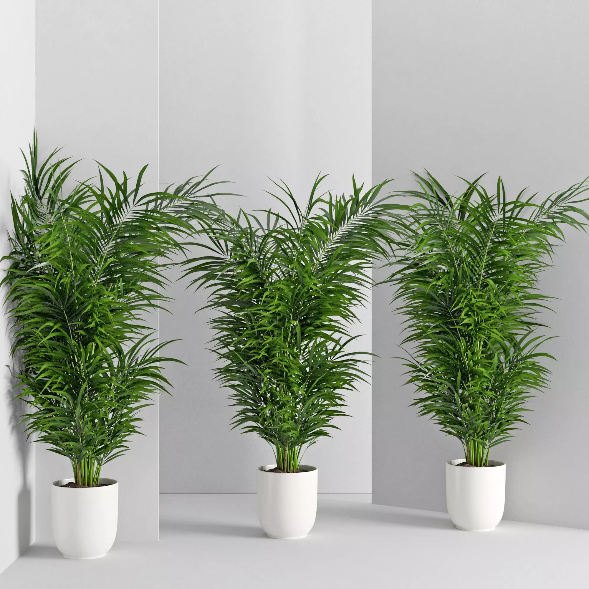 Houseplant 32  wall Collisions 3D model_0