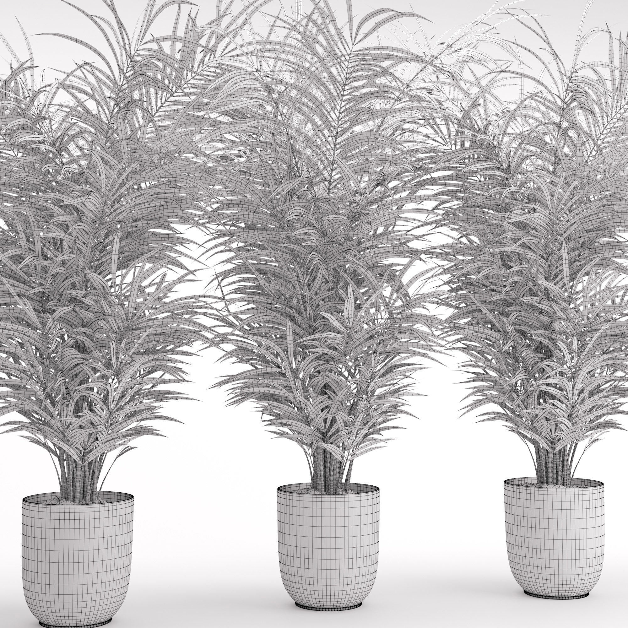 Houseplant 32  wall Collisions 3D model_8