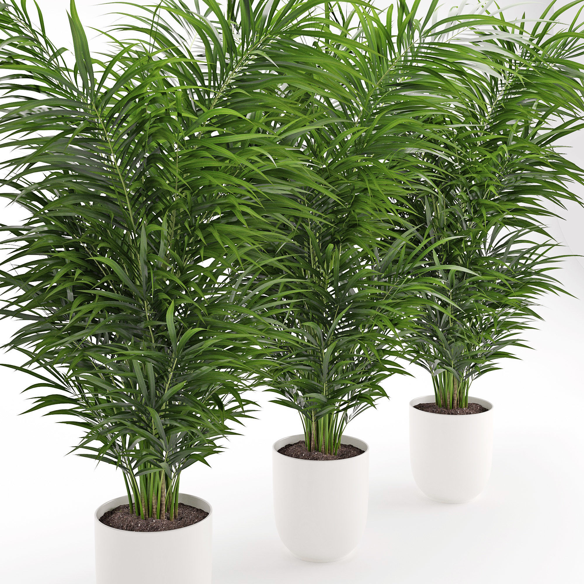 Houseplant 32  wall Collisions 3D model_6