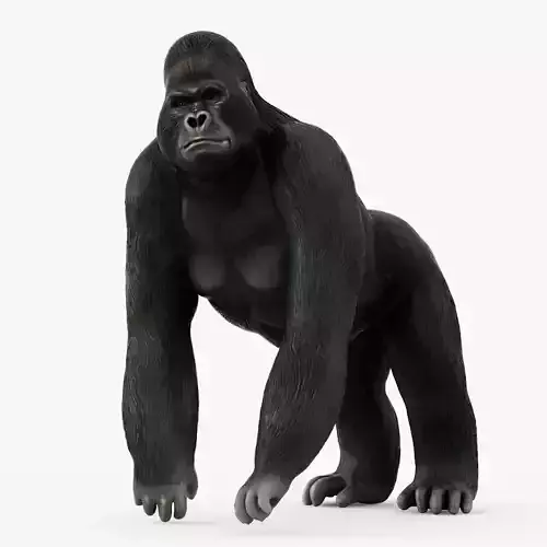 Figurine Gorilla