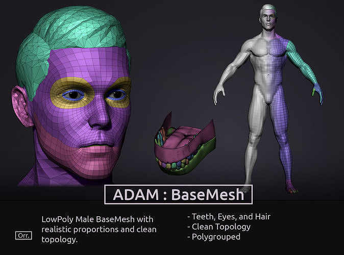 Male BaseMesh - LowPoly 3D model
