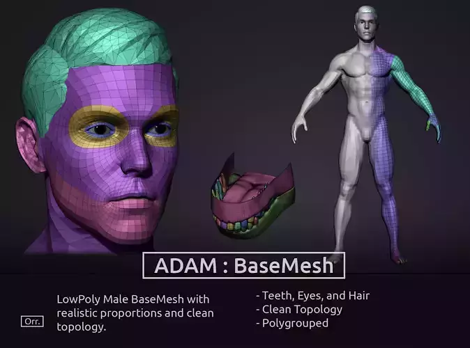 Male BaseMesh - LowPoly 3D model
