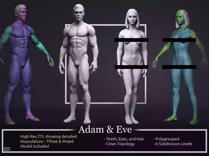 Basemesh Set - Adam and Eve 3D model
