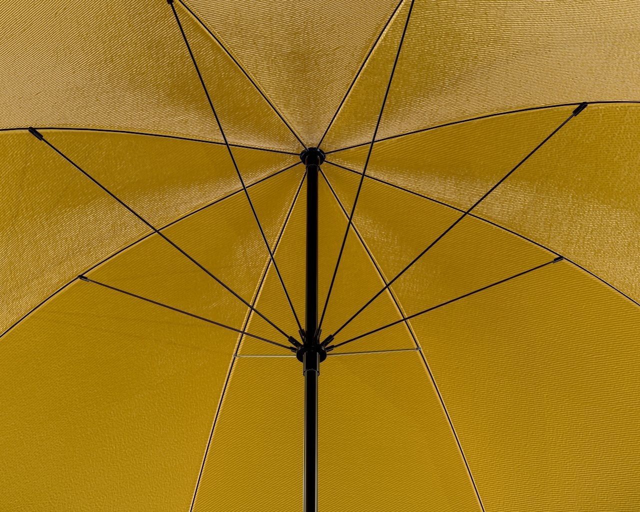 umbrella 01 3D model_5