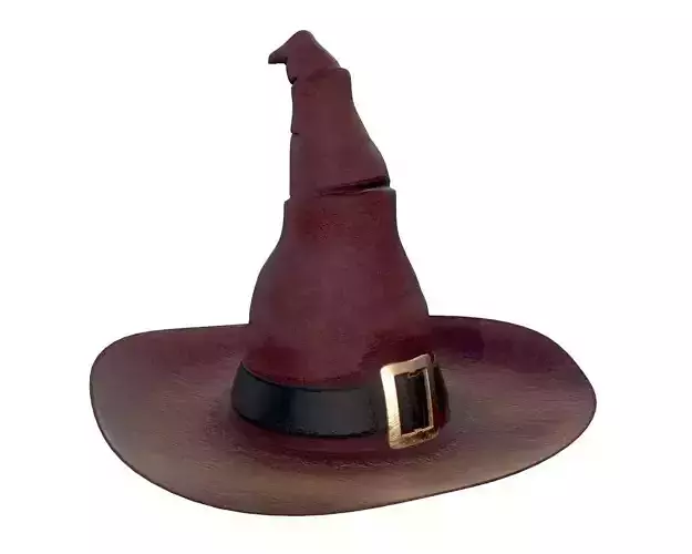halloween witch hat